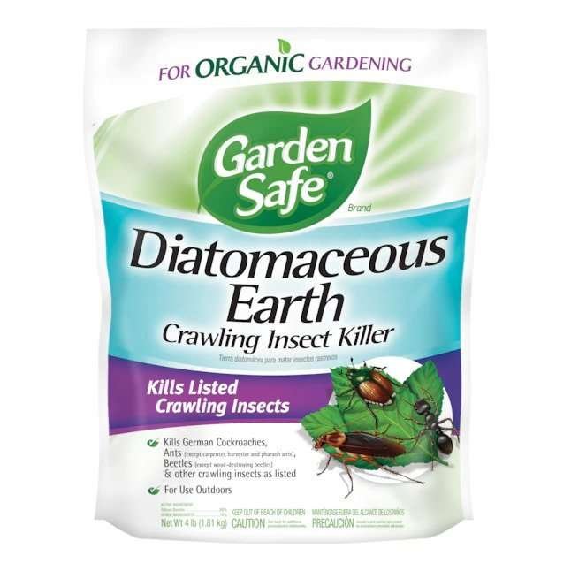 Diatomaceous Earth Get Rid of Fleas!