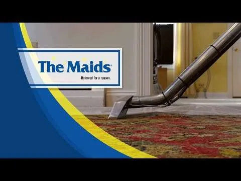 Best Rug Cleaning Alexandria Va 1 2241 hqdefault