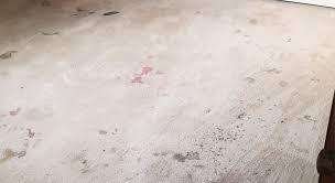 Really-Dirty-Carpet dust rug near me in Fairfax