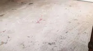 Really-Dirty-Carpet dust rug near me in Fairfax