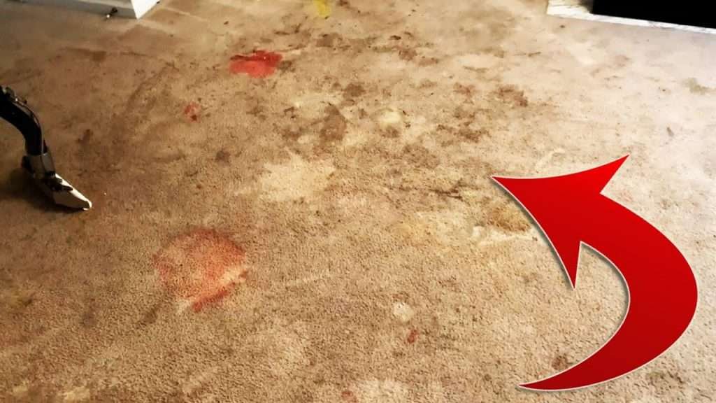 Extreme Carpet Cleaning In Sterling Va Rug Washing Exposed! 8 maxresdefault 18