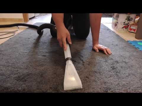 carpet cleaner cleans oriental rug