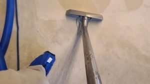 6 Top Carpet Steam Cleaners in Northern VA