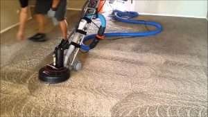 Steam Cleaning the Carpet