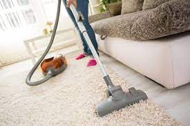 properly vacuum your carpet