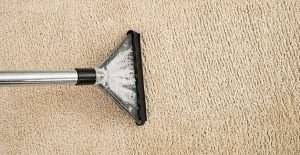 carpet steam clean northern va
