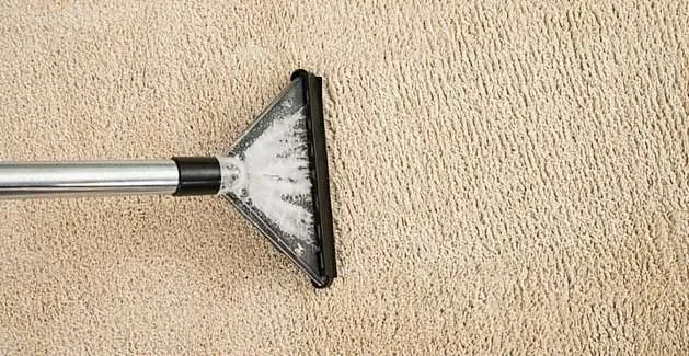 Get Rid Of Wet Carpet Smell Before It Turns To Mold In 4 Days! 8 carpet steam clean northern va