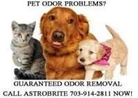 pet carpet cleaning Fairfax