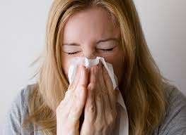 Beware Of Allergies To Mold — The Health Risks Of Household Dust Affect Over 20,000,000 People 20 allergies to mold health risks