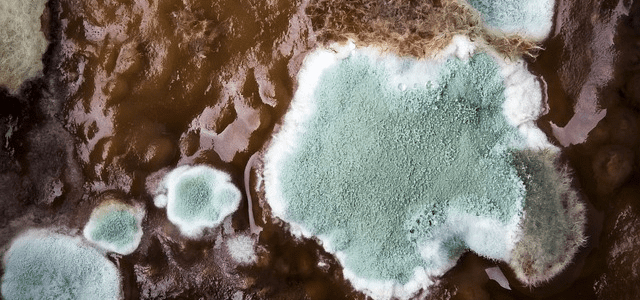 what happens if you inhale mold