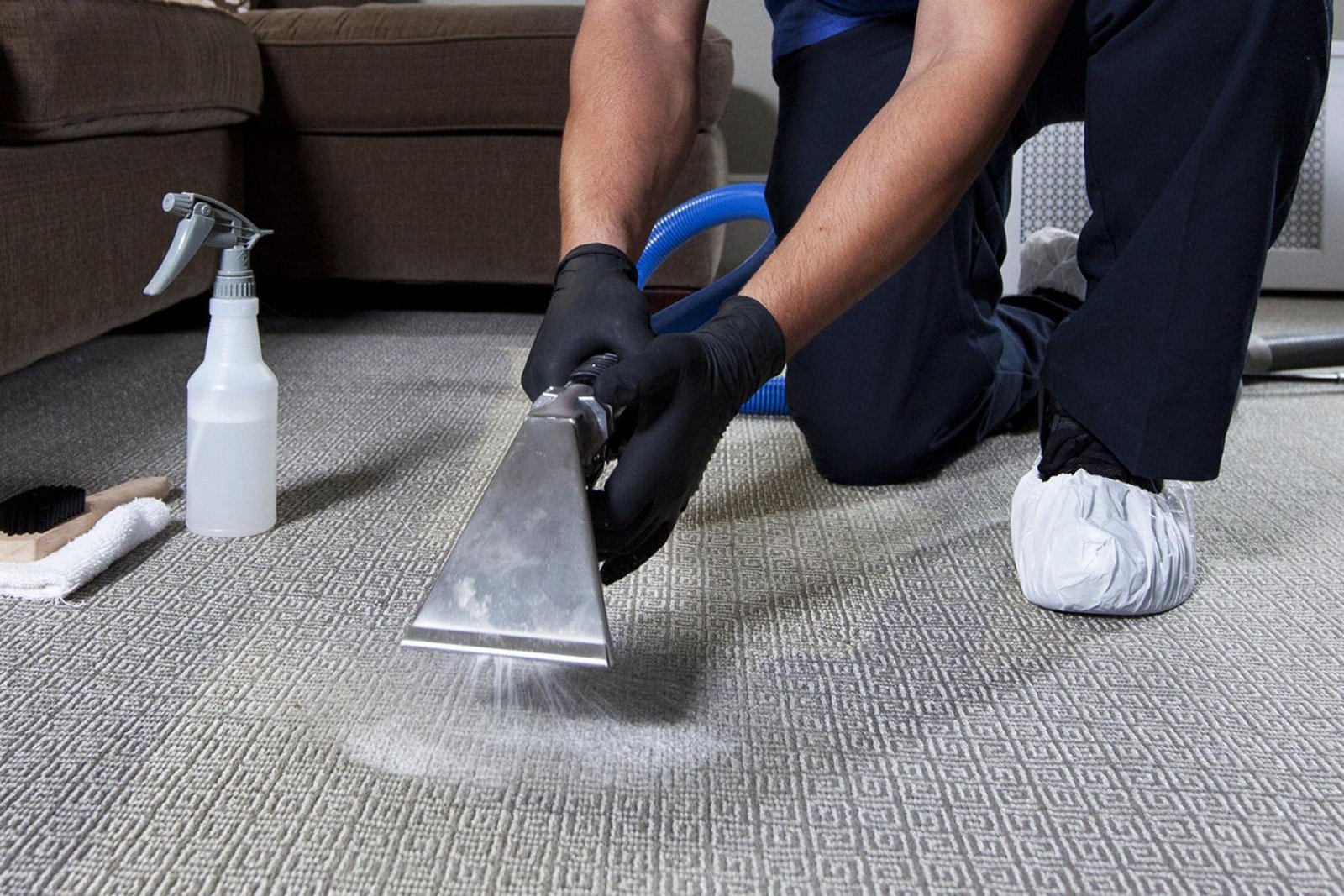 Professional Area Rug Cleaning Fairfax 7 carpet clea