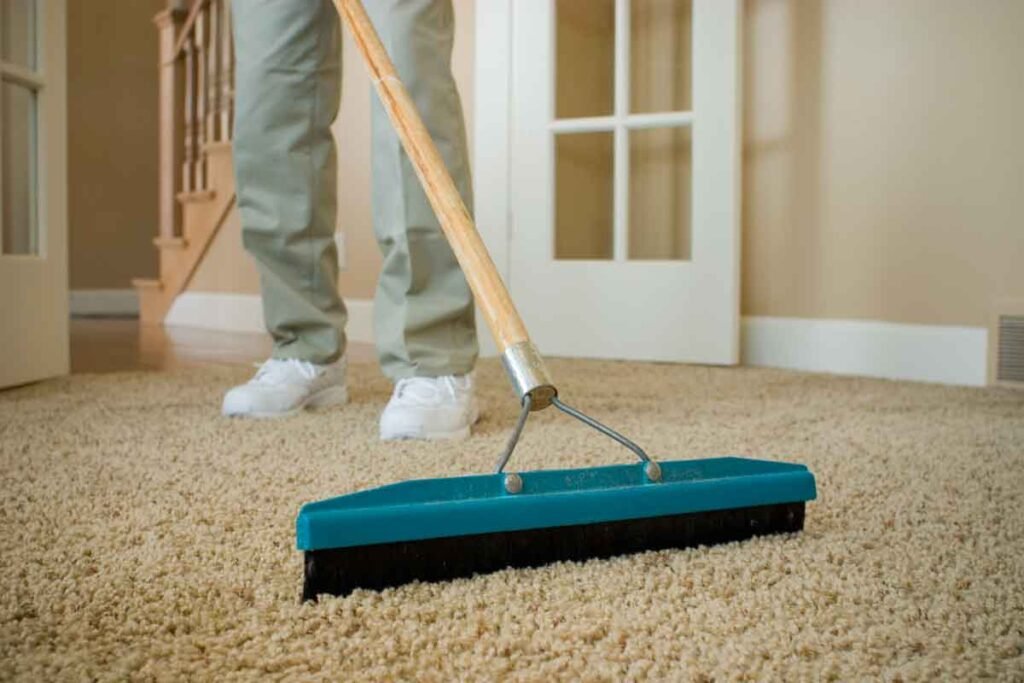 Professional Area Rug Cleaning Fairfax 8 dry soil