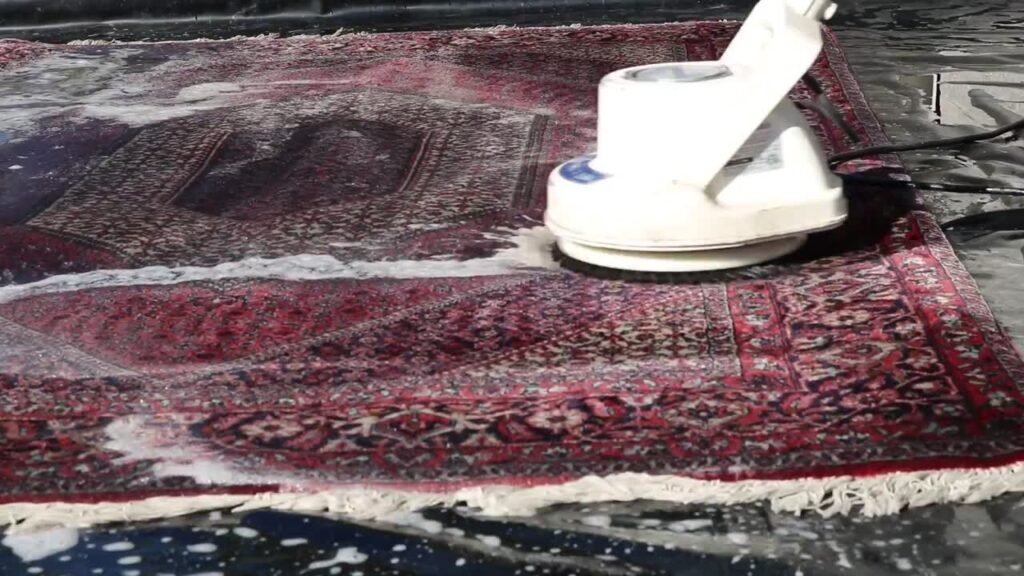 Professional Area Rug Cleaning Fairfax 11 immersion
