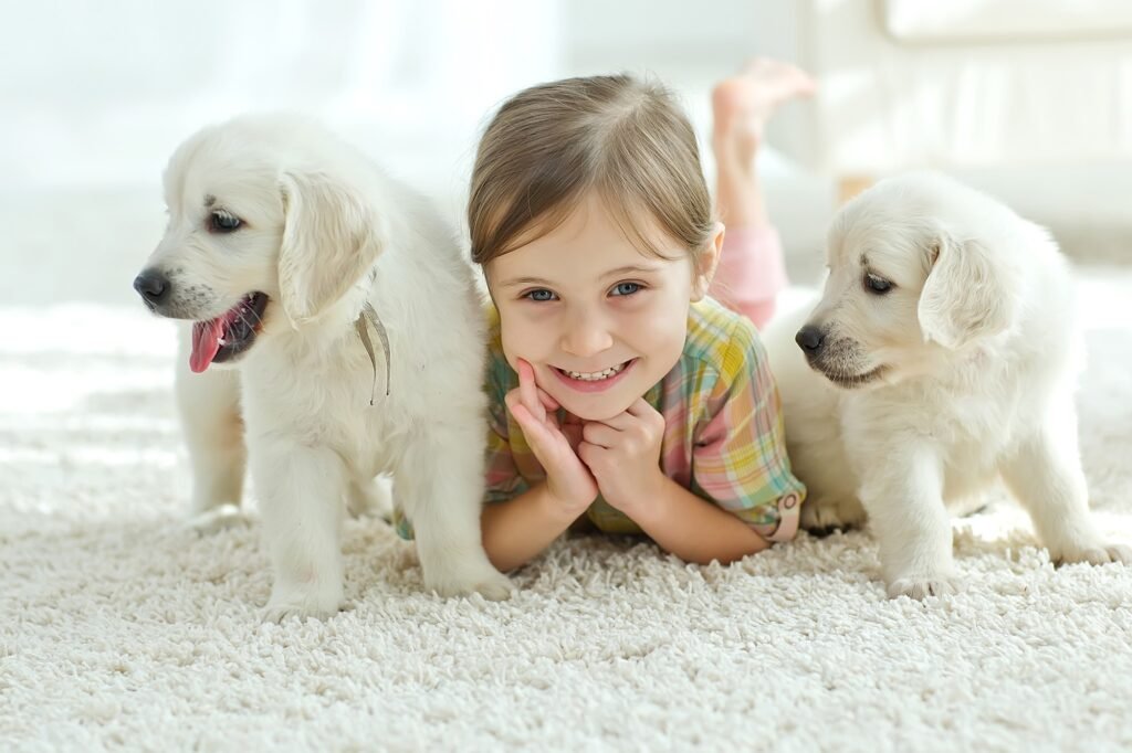 8f086808 5539 4e06 b6c4 fc8606aab7a8