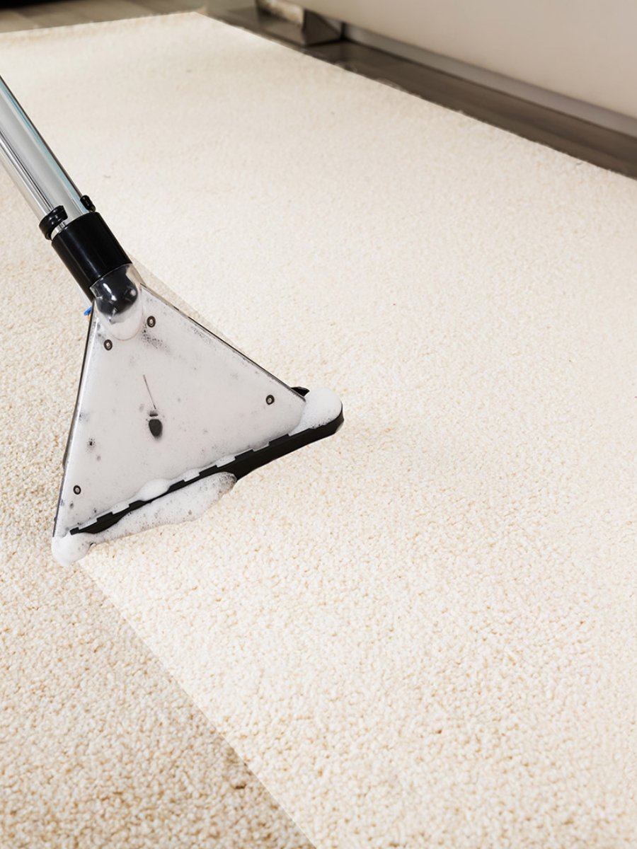 Carpet Cleaner Stafford Va Services 7 New Project 2026 04 20T224539.974