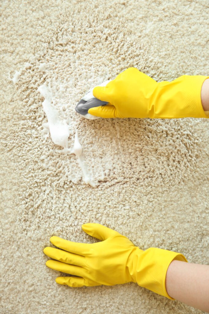 hands rubber gloves cleaning carpet with brush detergent