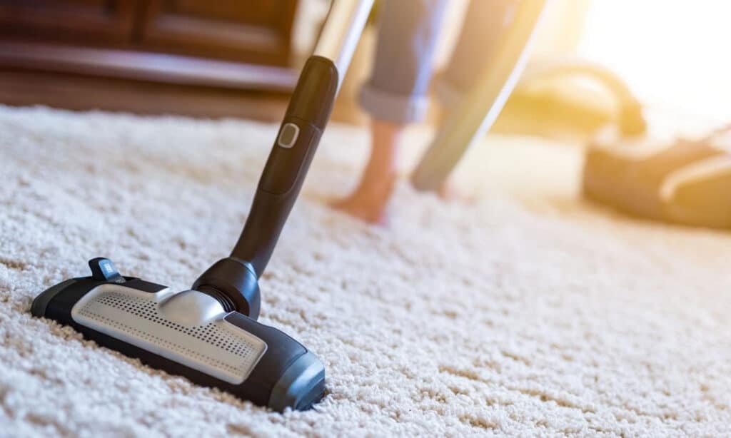 Area Rug Cleaning Fairfax Va 10 image 1776175331890